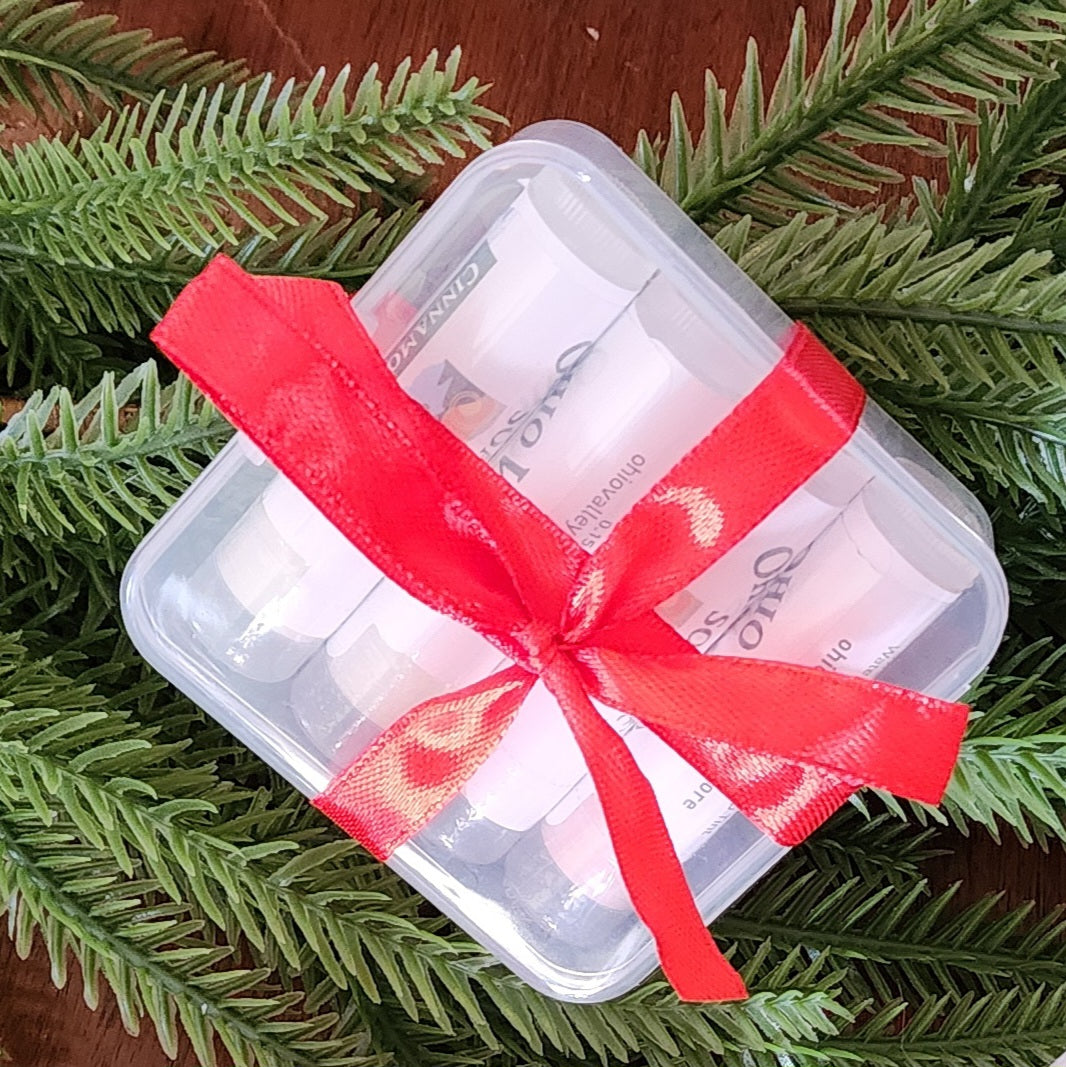 Lip Balm Gift Set